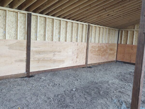 Kickwall in a Permanent Horse Shelter